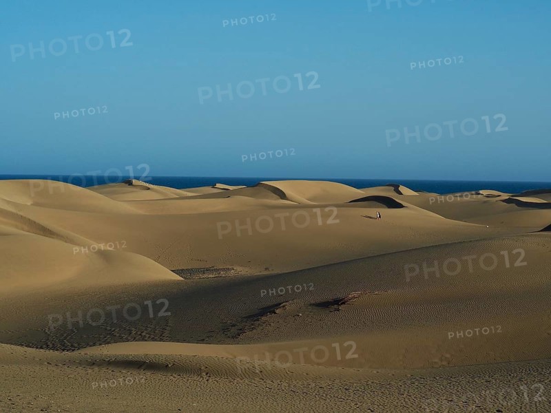 Wide sand dunes under clear skies in a quiet desert landscape, Maspalomas Dunes, Gran Canaria, Spain