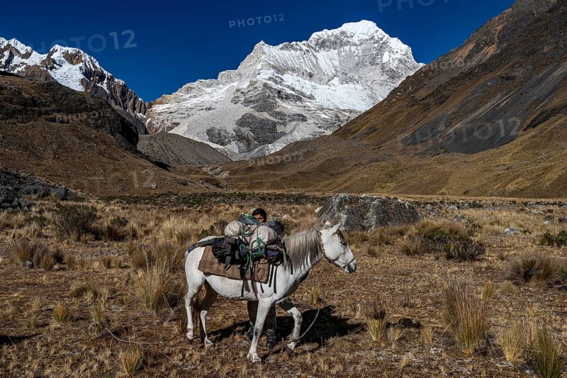 Packhorse off Nevado Santa Cruz northeast face, 6259 m, Cordilera Blanca, Huascaran National Park, Andes, northern Peru, Peru, South America