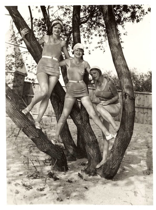 Bathing, swimwear, woman, leisure, fun, summer, Three woman in bathing suits pose laughing on a tree on the beach, around 1928