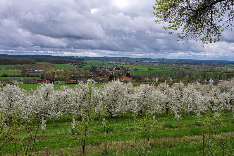 Franconian spring landscape in cherry blossom, rain clouds, Kirchrüsselbach, Upper Franconia, Bavaria, Germany