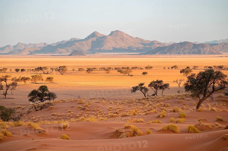 Evening, dry landscape in the NamibRand Nature Reserve, Naukluft Mountains behind, Namib Desert, Namibia