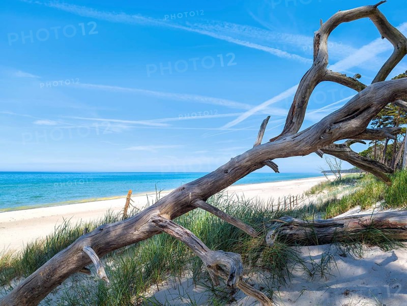 Naturstrand Darß Baltic Sea Germany