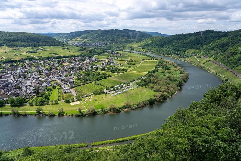 The wine town of Pünderich, in the district of Cochem-Zell, on the Moselle, view from the vineyards of the Pündericher Marienburg location, Rhineland-Palatinate, Germany