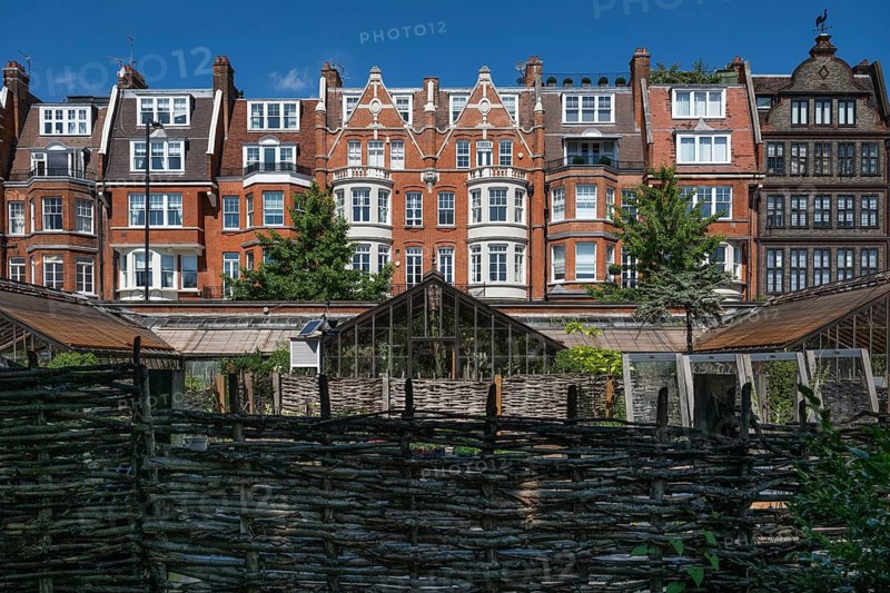 Victorian townhouses on Royal Hospital Road, woven fence and historic greenhouses, Chelsea Physic Garden, historic botanical garden, oldest botanical garden in London, founded in 1673 by the Worshipful Society of Apothecaries, Chelsea, England, Great Britain, Great Britain