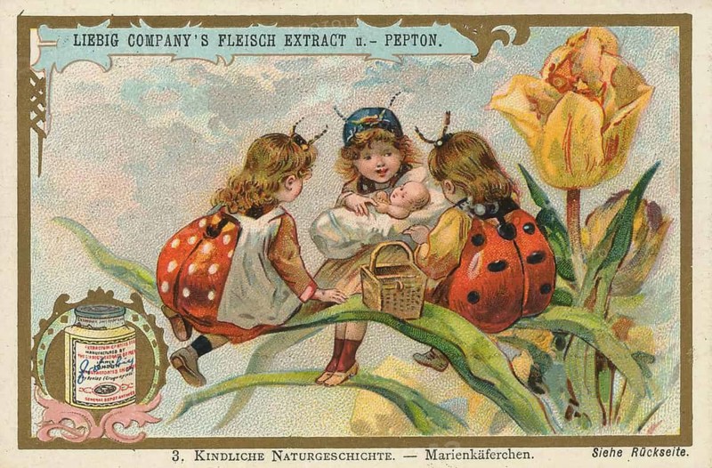 Picture series Children's Natural History, children imaginatively disguised as ladybirds and a baby in a spring-like natural setting, lovely picture, digitally restored reproduction of a collector's painting from around 1900, exact date unknown