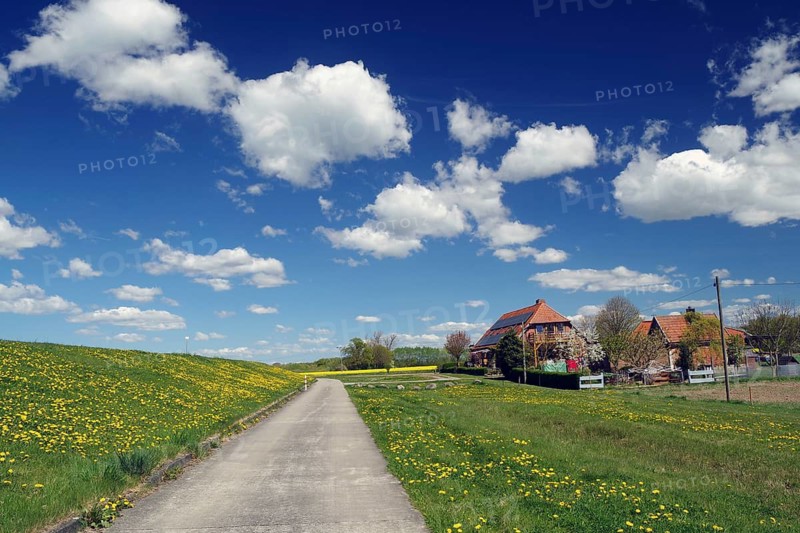 A country road leads to a house under a clear blue sky with big white clouds, Stipelse, spring, bicycle tourism, bicycle travel, Mecklenburg-Western Pomerania, Germany
