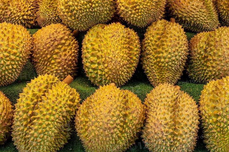 Durian fruit sales rack, Pattaya, Thailand