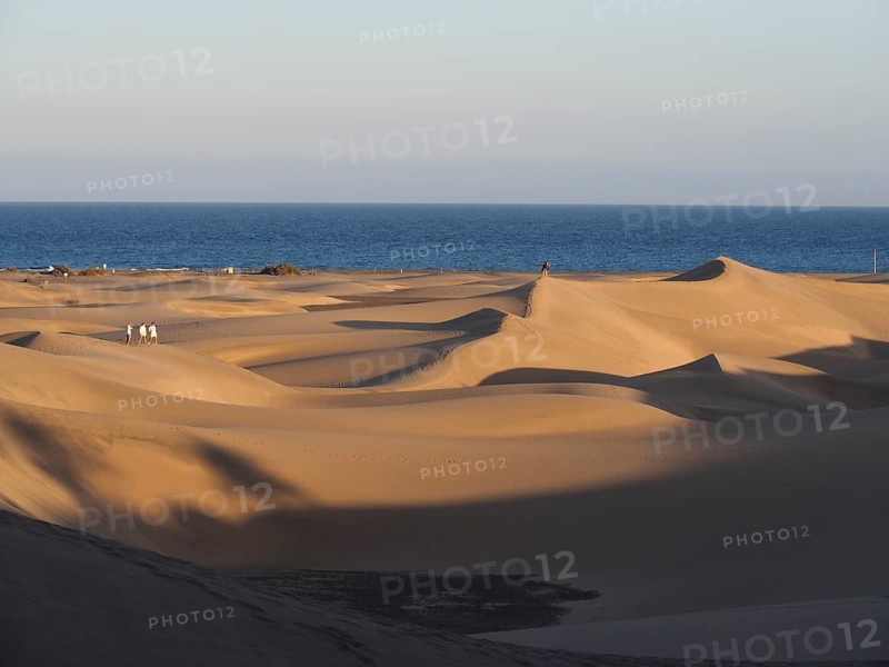 The setting sun bathes dunes in warm light, shadows form on the sand, dunes of Maspalomas, Gran Canaria, Spain