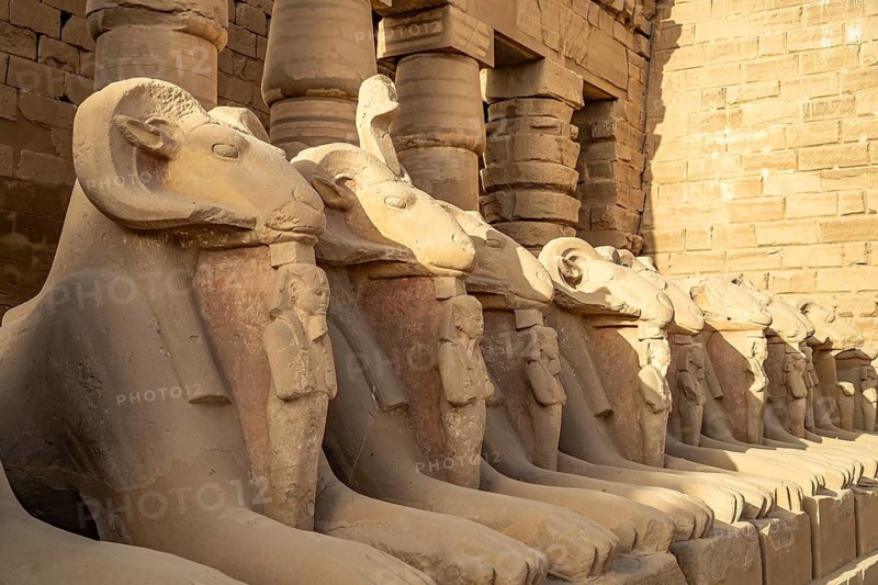Aries sphinxes at Karnak Temple in Karnak near Luxor, Egypt