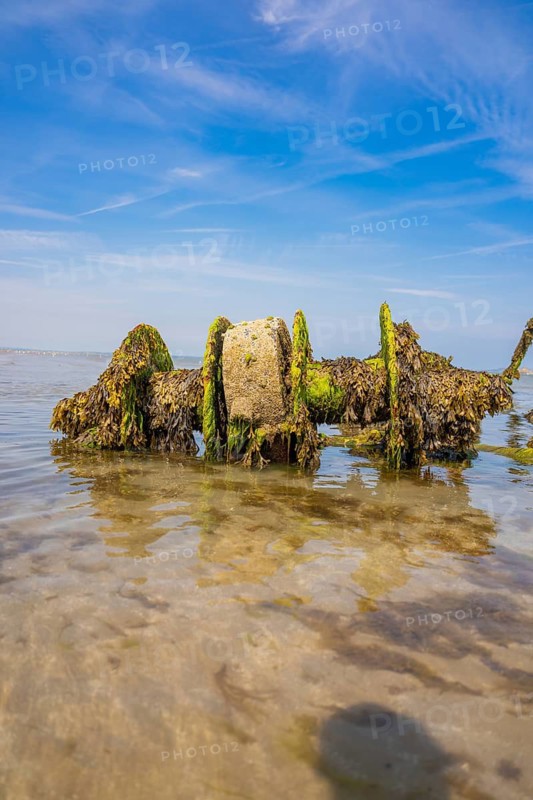 Algae-covered wreck against clear sky and calm water, low tide, Howth beach, Ireland