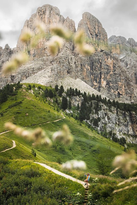 Female hiker with trekking pole turning to look at camera walking winding dirt path along green alpine ridge majestic jagged Cir peaks background Passo Gardena Dolomites Italy