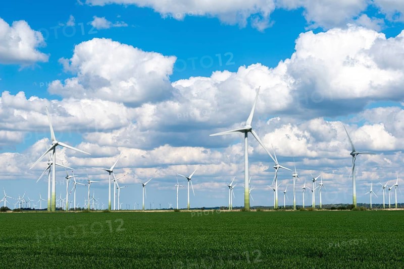Wind turbines in the Reußenköge Bürgerwindpark, North Frisia, clean energy, power generation, economy, technology, field cultivation, agriculture, spring, blue sky, west coast of Schleswig-Holstein, Germany