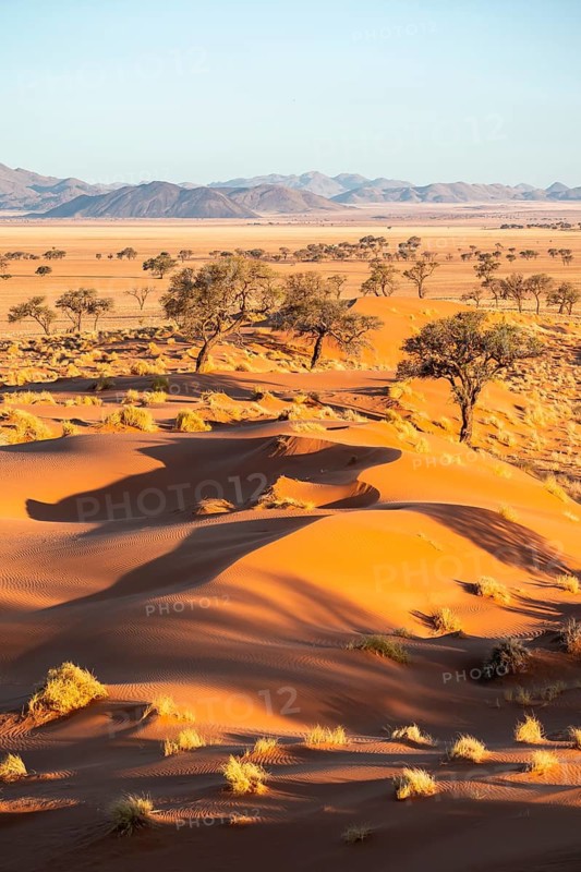 Evening atmosphere, sand dunes, landscape in the NamibRand Nature Reserve, Naukluft Mountains in the background, Namib Desert, Namibia