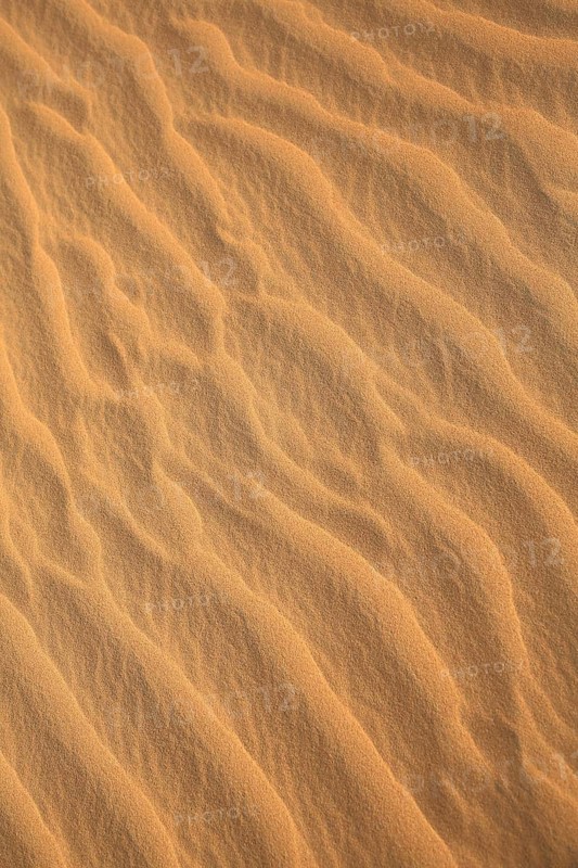 Sand waves with elegant, natural patterns in warm shades of brown, wallpaper, wave pattern in sand, desert, Dubai, United Arab Emirates, Middle East