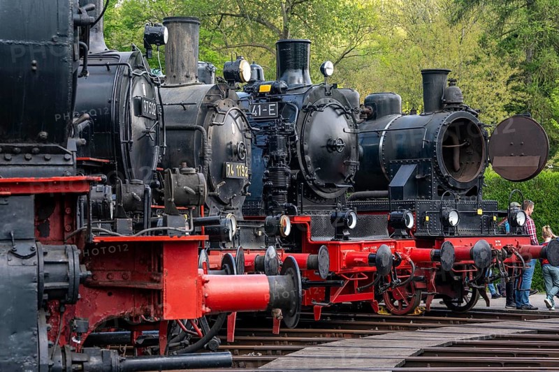 Ring locomotive shed with many historic steam locomotives in the Bochum Railway Museum, museum days weekend, with many attractions such as steam locomotive rides, 3 locomotives are under steam, historic trains make round trips through the Ruhr Valley, many locomotives are on display, on the site of the former Dahlhausen railway depot, North Rhine-Westphalia, Germany