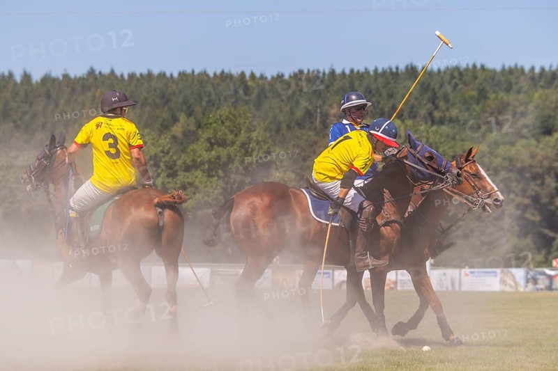 Polo player, polo horse, polo pony (Equus), rider, polo tournament, 1295 Polo Masters, Sylvenstal, Pfullendorf, Linzgau, Sigmaringen district, Baden-Württemberg, Germany