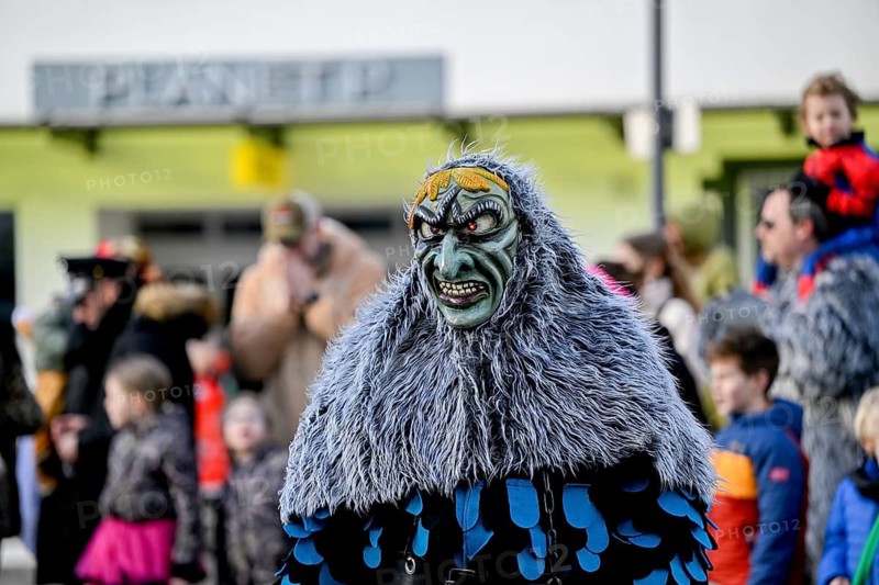 Member of a fools' guild in traditional Haes, fools' clothes, during the carnival procession in Achern, Ortenaukreis, Baden-Württemberg, Germany