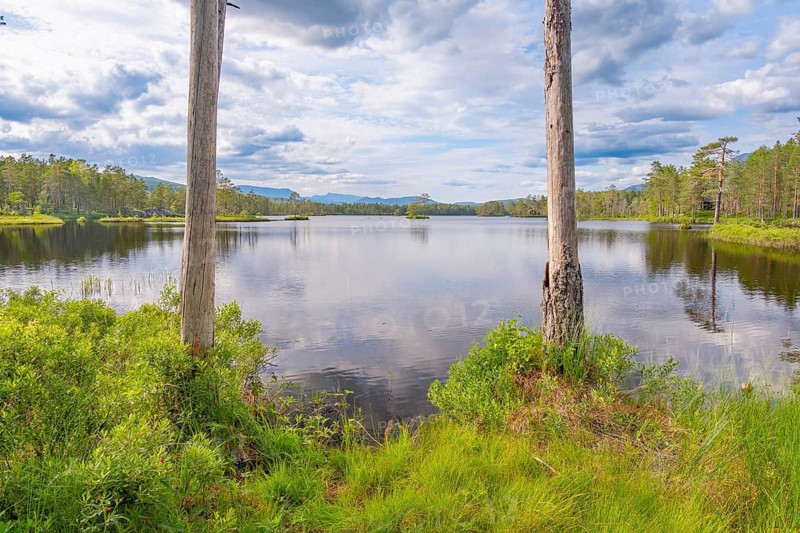 View of Lake Damvatn between two trees, Ömemyr, Telemark, Norway