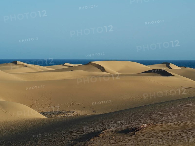 Extensive sand dune landscape under clear blue sky with peaceful atmosphere, Maspalomas Dunes, Gran Canaria, Spain