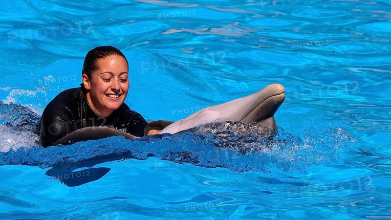 A woman glides happily through the water on a dolphin, dolphin, dolphin (Delphinidae), dolphin show, Loro Parque, Puerto de la Cruz, Tenerife, Canary Islands, Spain