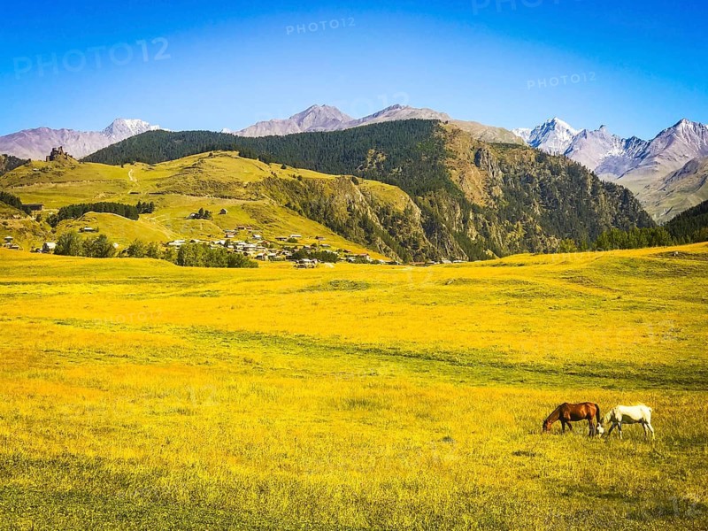 Scenic landscape view upper omalo village in Tusheti with horses beautiful nature.Georgia