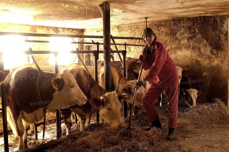 Helper in a barn on a farm, Middle Franconia, Bavaria, Germany