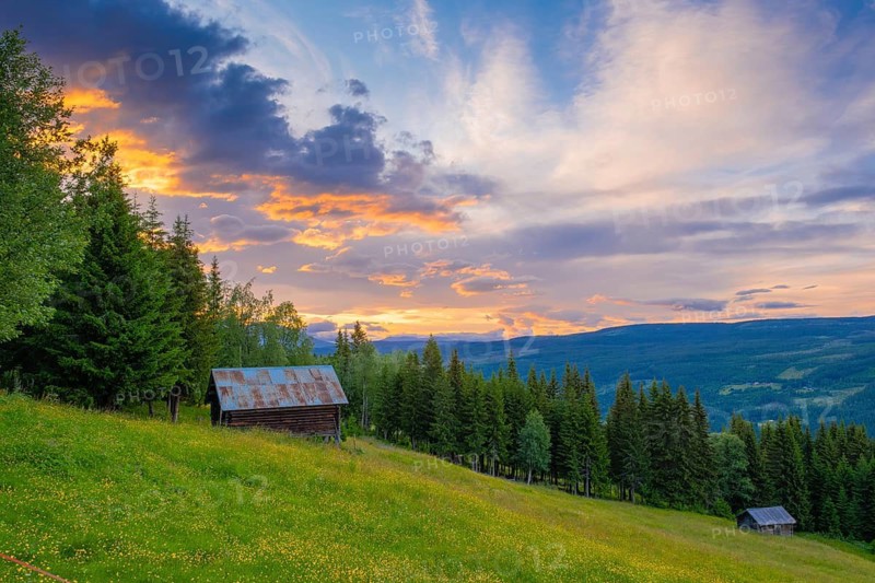 View across a meadow to a hut in the mountains at sunset, Gol, Halligdal, Buskerud, Norway