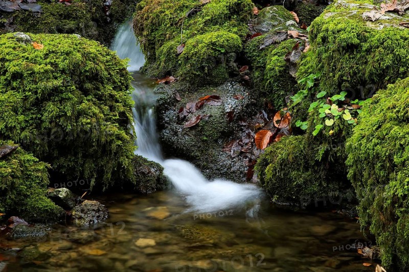 Urach waterfall, close-up of a small waterfall flowing over mossy rocks, Kleine Ohe, stream in the forest between rocks covered with moss, autumn, Bavarian Forest National Park, Bavaria, Germany, detailed view of a small waterfall flowing over mossy rocks in a quiet forest, Kleine Ohe, stream in the forest between rocks covered with moss, autumn, Bad Urach, Maisental, Germany
