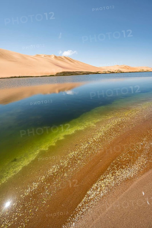 Sand dunes are reflected in Sandwich Harbour Lagoon, Impressive Desert Landscape, Namib Naukluft Park, Namib Desert, Namibia