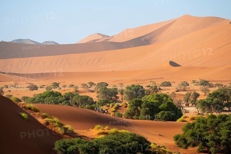 Tourists hike between red-yellow Namib sand dunes, Namib Desert, Namib-Naukluft National Park, Namibia