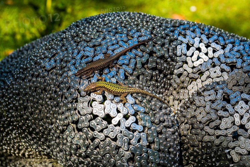 Botanical garden with sculptures in spring, lizards, artist Seo Young Deok, Light Garden, Andre Heller, Gardone Riviera, Lake Garda, Lake Garda, Province of Brescia, Lombardy Region, Italy