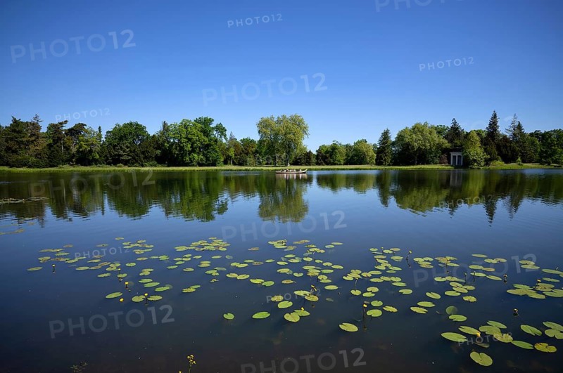 Gondola, boat with tourists, water lilies, Wörlitzer See, Wörlitzer Park, Wörlitzer Anlagen, Wörlitz, Oranienbaum, Saxony-Anhalt, Germany