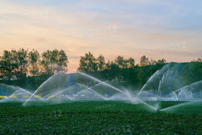 Fine jets of water sprinkling fields in front of a colorful sunset, Karlburg, Karlstadt, Main-Spessart, Mainfranken, Lower Franconia, Bavaria, Germany