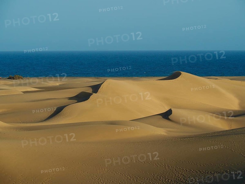 Wide sand dunes run towards the sea under a blue sky, Maspalomas Dunes, Gran Canaria, Spain