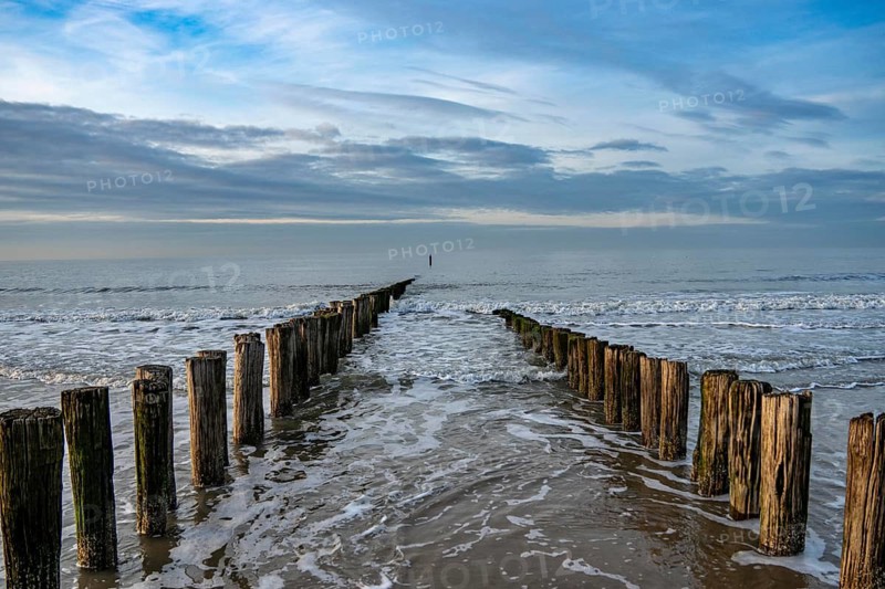 Coastal protection, through wooden posts, paalhoofden, on the beach, breakwater, the piles, some of which are rammed into the sandy soil in double rows, slow down the waves and ocean currents and thus slow down the flow rate of seawater, so less sand is washed away from the stand, near Domburg, Walcheren peninsula in the Dutch province of Zeeland