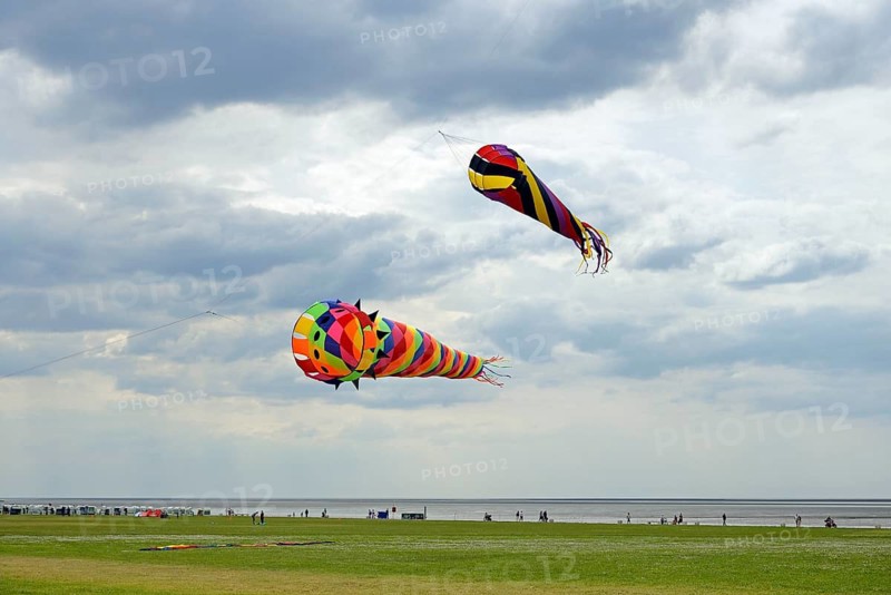 Colourful kites in the air above the dragon meadow of Norddeich, North Sea, Lower Saxony, Germany