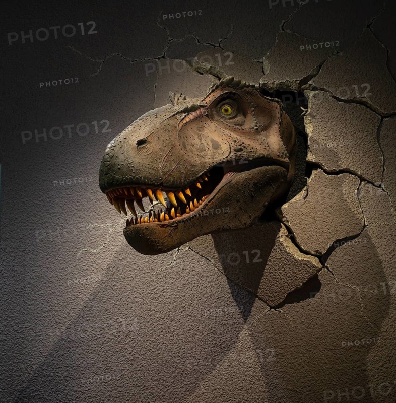 Interior view, exhibit skull of a Tyrannosaurus rex T-rex, dinosaur, carnivore, breaks through a wall, Natural History Museum Stuttgart, Museum am Löwentor, Stuttgart, Baden-Württemberg, Germany