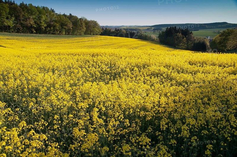 Germany, Greiz, Thuringia, Thuringia, cultivated landscape, spring, cultural landscape, landscape, spring, Vogtland