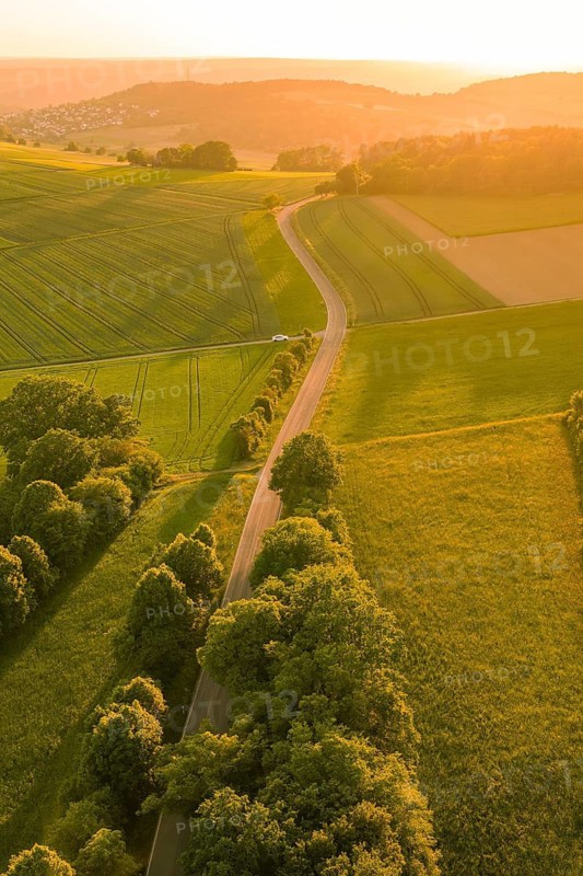 Trail snakes through a green landscape surrounded by fields at sunset, Gechingen, Hecken and Gäu region, Landreis Calw, Germany