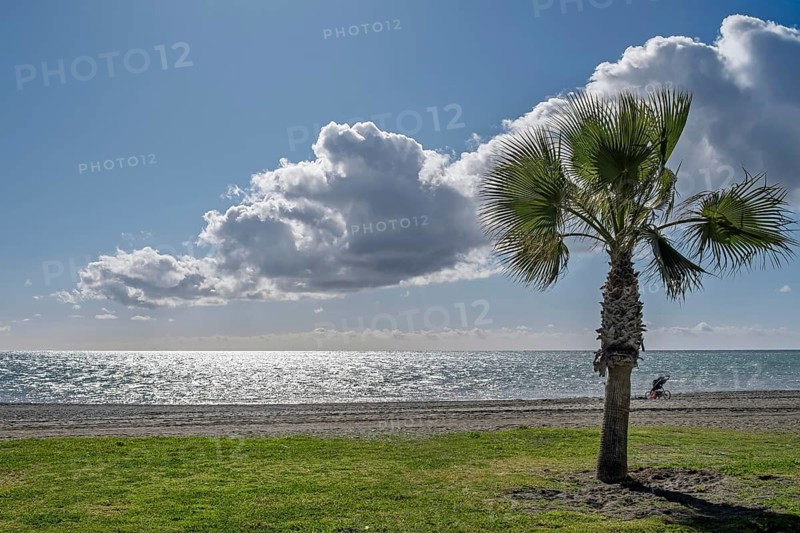 Coastal landscape with palm trees, sea views and dramatic clouds under clear sky, Torre de Mar, Costa del Sol, Andalusia, Spain