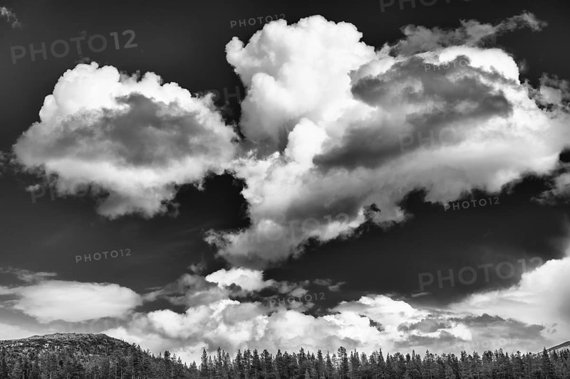 Cloud atmosphere, Alvdal Vestfjell, Hedmark, Innlandet, Norway, June 2026
