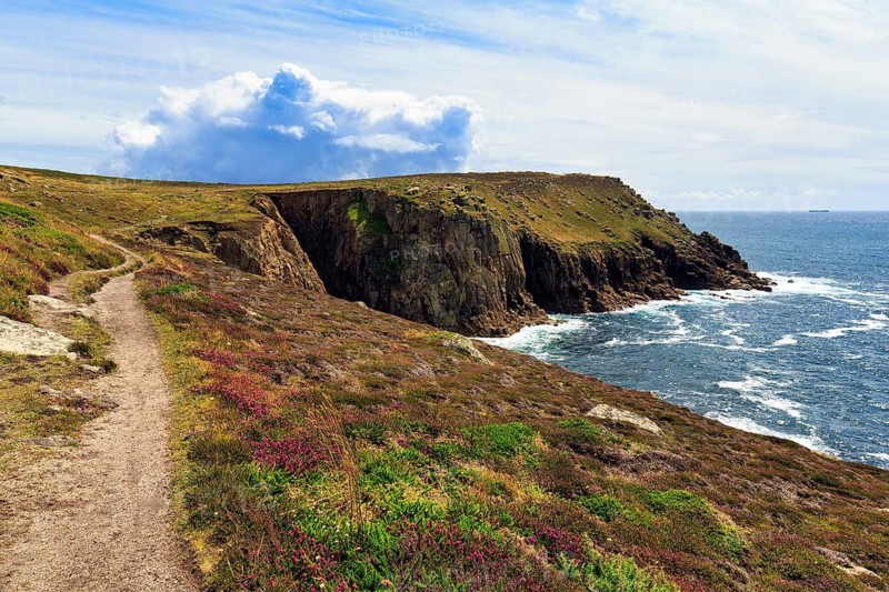 Coastline, heathland on the Atlantic coast, South West Coast Path coastal hiking trail, cliffs in summer, Land's End, Lands End, Penzance, Penwith Peninsula, Cornwall, England, Great Britain
