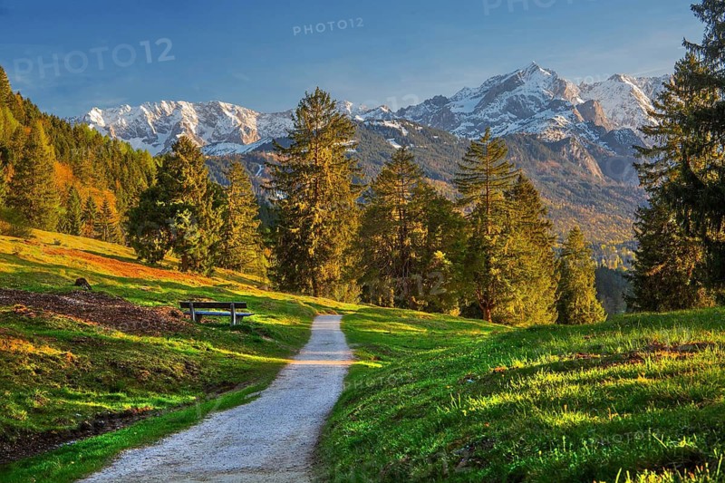 Hiking trail, Philosophenweg with Alpspitze 2628m at evening sun in spring, Farchant near Garmisch-Partenkirchen, Loisachtal, Werdenfelser Land, Upper Bavaria, Bavaria, Germany