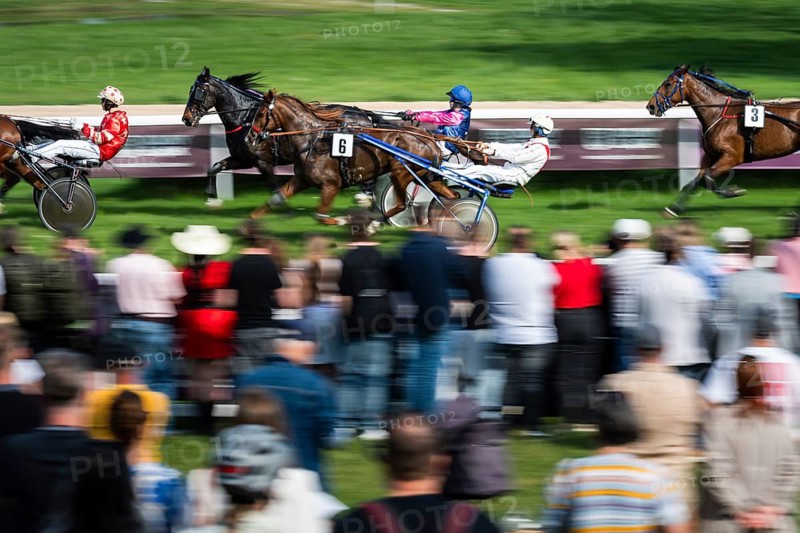 WROCLAW, POLAND - MAY 10, 2026: Horse race track WTWK Partynice. Harness horse race captured with motion blur, three horses with sulkies and drivers racing past cheering spectators
