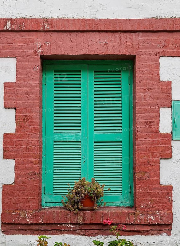 Window with green closed shutters and flower pot, Omodos, Cyprus