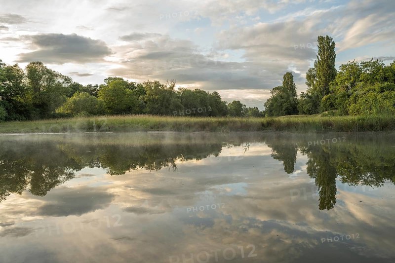 There are trees near a pond. Her reflection can be seen in calm water. There are a few clouds in the sky. Muttersholtz, Bas-Rhin, Alsace, France