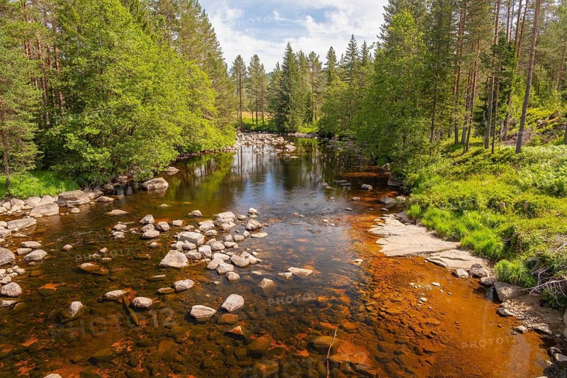 View of Fjellgardselva River, Drangedal, Telemark, Norway