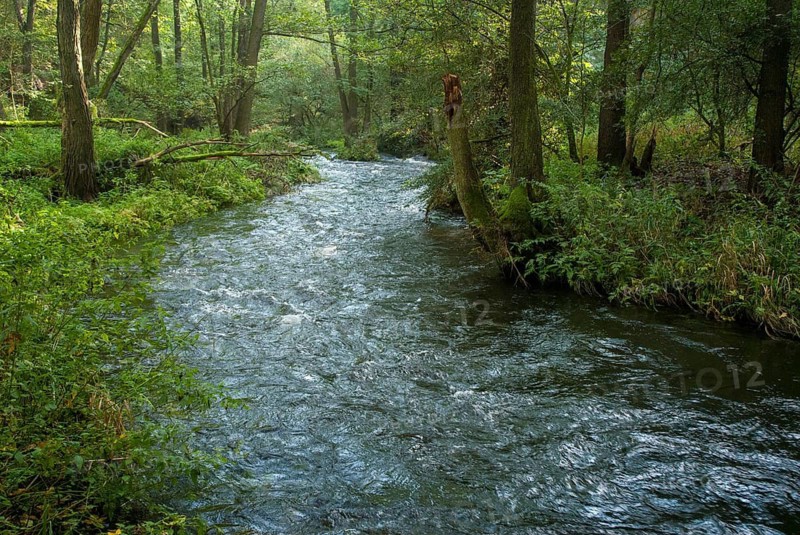 Germany, Greiz, Thuringia, Weidatal, stream, flowing water, river, landscape, river, river
