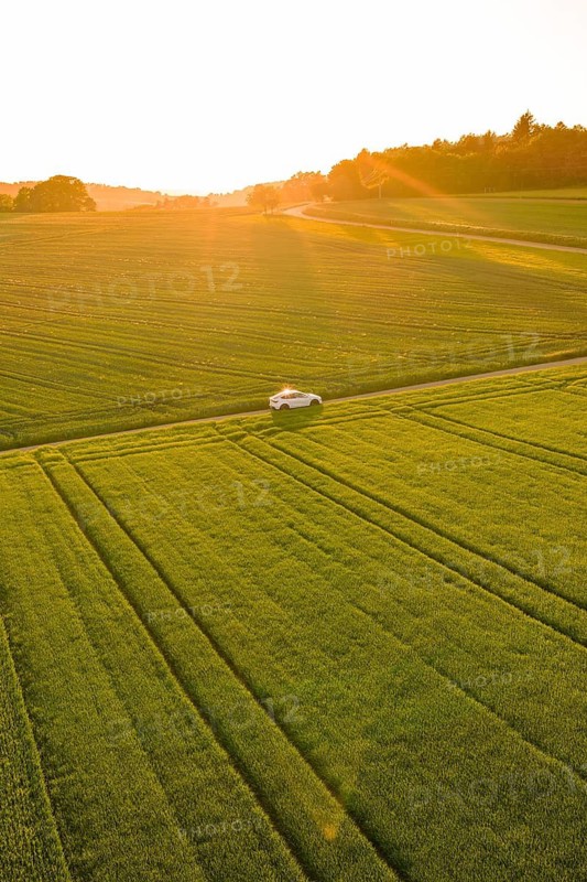 A white car drives along vast green fields in the light of a low sunset, Tesla Model Y, Gechingen, Calw district, Germany