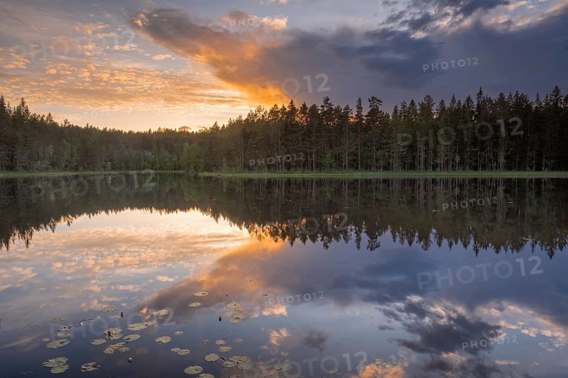 View of Lake Ongeltjørn at sunset, Telemark, Norway